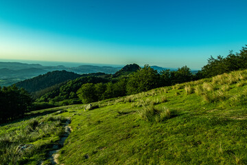 Vistas durante la subida al monte Adarra, arboles, ovejas etc.