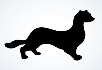 Wall Mural - Least weasel. Vector drawing icon