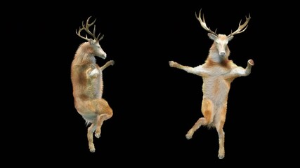 Wall Mural - deer dance cg fur 3d rendering animal realistic cgi vfx animation loop composition 3d mapping cartoo