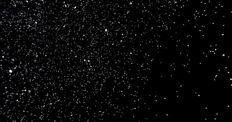 Wall Mural - white snowflakes falling in slow motion against an isolated black background.