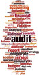 © laufer - Audit word cloud