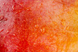 Mango fruit skin of red, orange and yellow color with water drop background, refresh drink of fruit juice and textured concept.
