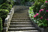 Kamienne schody w ogrodzie wśród bujnej zieleni i kwitnących rododendronów