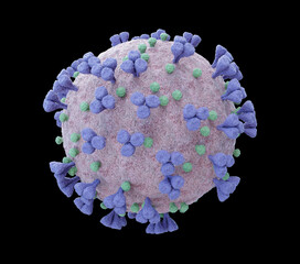Poster - 3D rendering of the coronavirus on a microscopic level isolated on white background. Microscope close-up of the covid-19 disease. 2019-nCoV virus