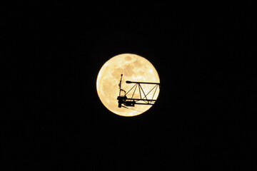 Wall Mural - silhouette of a crane on the full moon