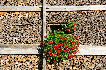 Wall Mural - Traditional wood storage with colorful flowers in Tirol, Austria