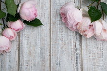 Beautiful Buds Of Pink Roses Against The Background Of Wooden Boards