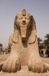 Massive Alabaster Sphinx in the open air Museum of Memphis