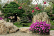© antropova - Natural stones and flowering plants in Thailand rock garden.