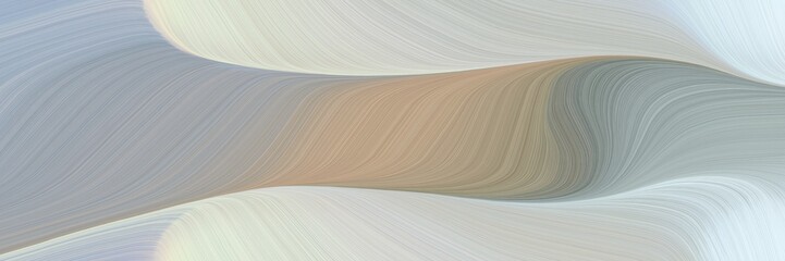 Poster - abstract flowing header design with ash gray, gray gray and light gray colors. fluid curved flowing waves and curves for poster or canvas