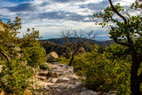 Fototapeta Na ścianę - mountain landscape with blue sky in the chiricahua mountains, Arizona