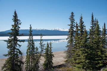 a stunning calming lake in yukon territory, northern canada. beautiful reflection scene with woods, 