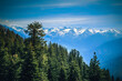 © Stephen - Forest and The Mountains, Sequoia National Park, California