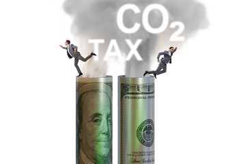 Businessman in carbon pricing concept