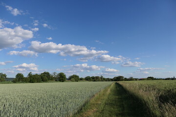 Wall Mural - Landschaft im Frühsommer