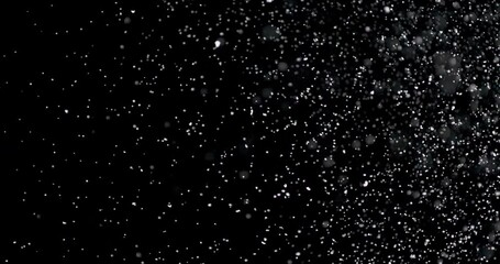 Wall Mural - snow storm at night. it shows the snowflakes falling from the sky against the black background