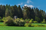 Fototapeta Natura - Sommer im Thüringer Wald