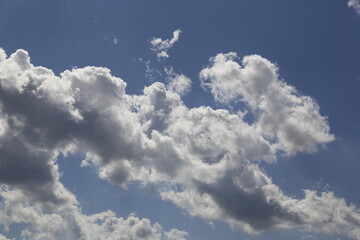 Wall Mural - white fluffy clouds in the blue sky.
