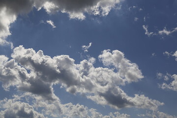 Wall Mural - white fluffy clouds in the blue sky.