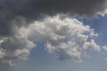 Wall Mural - white fluffy clouds in the blue sky.