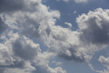 Wall Mural - white fluffy clouds in the blue sky.