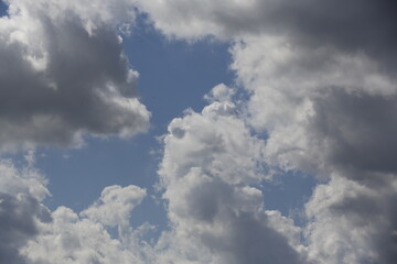 Wall Mural - white fluffy clouds in the blue sky.
