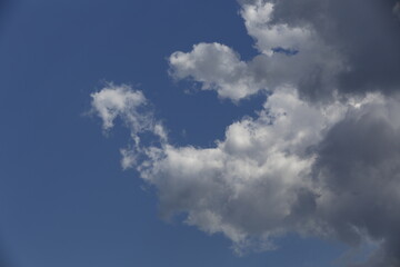 Wall Mural - white fluffy clouds in the blue sky.