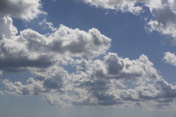 Wall Mural - white fluffy clouds in the blue sky.