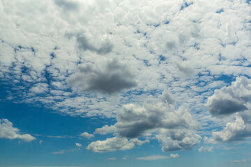 Wall Mural - white fluffy clouds in the blue sky.