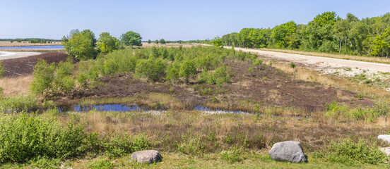 Wall Mural - Panoramic landscape of the Bargerveen nature reserve in Drenthe, Netherlands