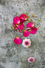 Wall Mural - Flat lay top down view image of romantic vintage look of Spring and Summer flower petals and blooms still life on rustic old worn background