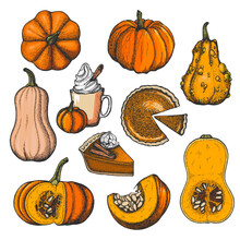 Vector Ink Set With Pumpkins And Pumpkin Desserts