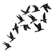 © desertsands - Isolated textured stipple silhouette of birds flock in the air Inspirational body flash tattoo ink. Vector.
