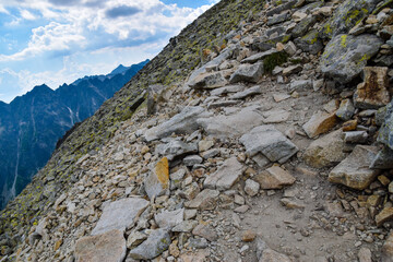 Wall Mural - panorama of rocky mountains