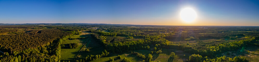 Wall Mural - aerial panorama of the forest