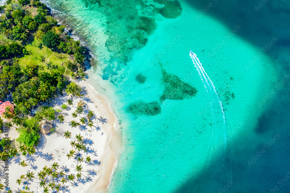 Aerial drone view of beautiful caribbean tropical island Cayo Levantado beach with palms and boat. Bacardi Island, Dominican Republic. Vacation background. - obrazy, fototapety, plakaty 