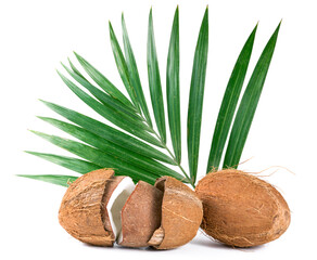 coconuts and palm leaves on a white background