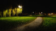 Park nocą 