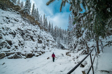 maligne canyon covered in snow and ice in the winter in alberta