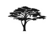 acacia tree silhouette. australian and african tree
