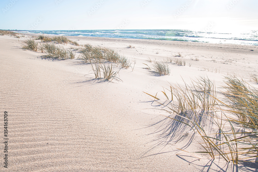 Słoneczna złota plaża wydmy w Polsce  - obrazy, fototapety, plakaty 