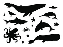 Vector Set Bundle Of Black Hand Drawn Doodle Sketch Sea Animals And Fish Silhouette Isolated On White Background