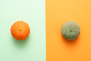 Comparing rotting orange with good one. Concept of defect or disease or stupidity vs normal. Flat lay top view.