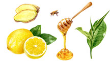 Tea Leaves Lemon Honey Ginger Watercolor Illustration Isolated On White Background