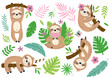 set of isolated funny sloth and tropical plants
 -  vector illustration, eps