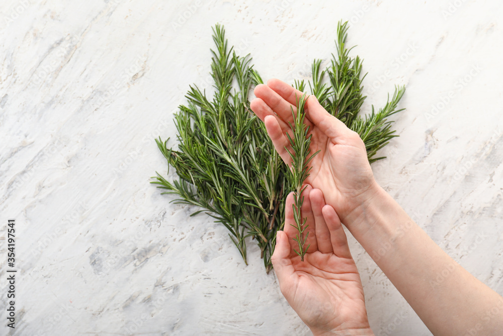 Female hands with rosemary on white background