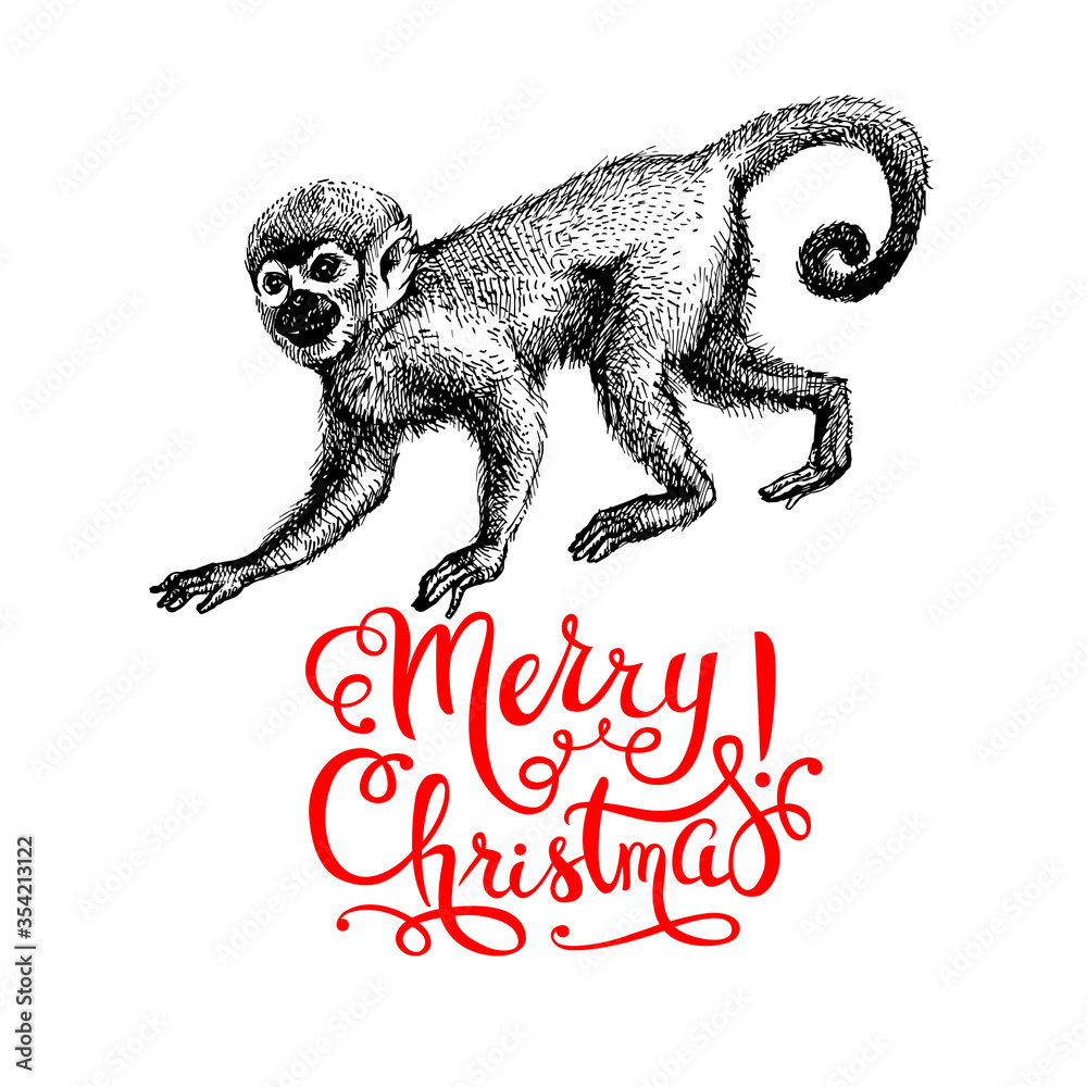 Hand drawn monkey animal vector illustration. Merry Christmas and Happy New Year card. Sketch isolated marmoset on white background - obrazy, fototapety, plakaty 