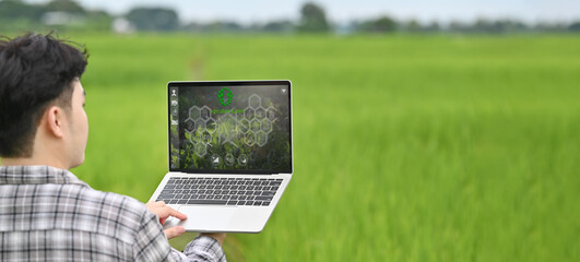 cropped image of young smart farmer holding a computer laptop with visual icon on screen over rice f