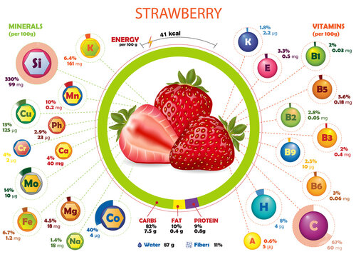 Calories, vitamins and minerals infographics of strawberry. Calorific value information about nutrients in berriest. Isolated vector illustration about vegetables, agriculture, nutrition, health food.
