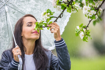 Wall Mural - Woman smells tree flowers on during a spring rainy day in the nature, holding an umbrella